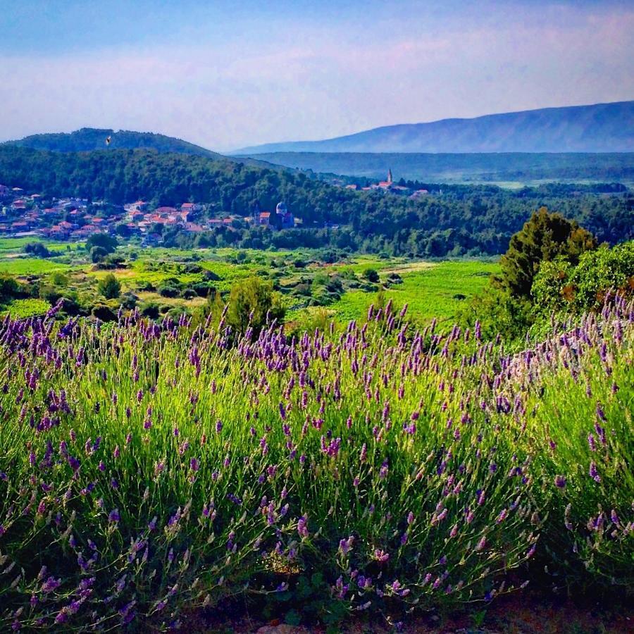 Villa Veli Nova Zavala Kültér fotó